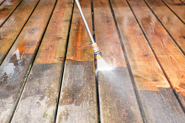Best Driveway Cleaning and Restoration in Seco Mines, TX